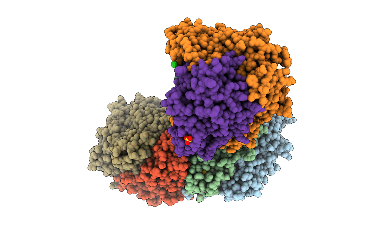 4C3O image