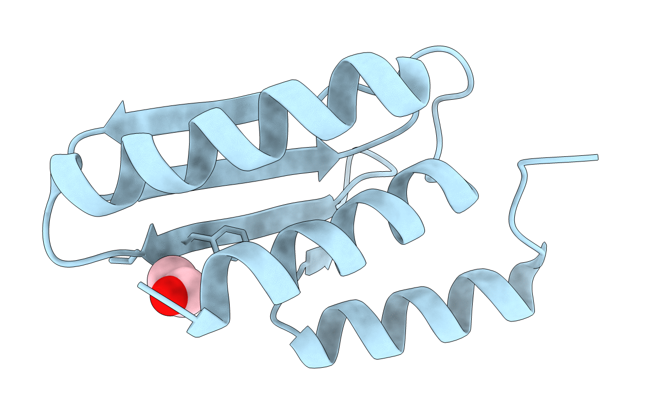 4C45 image