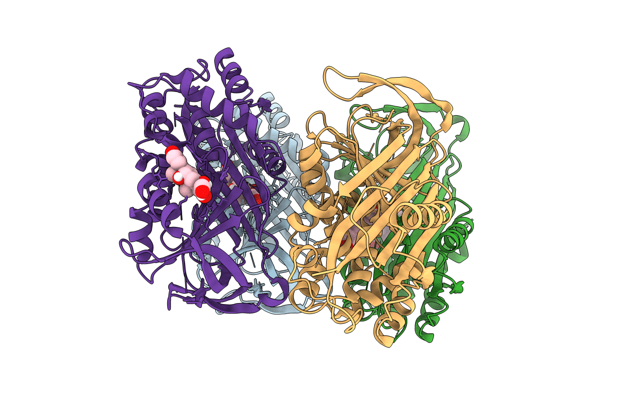4C49 image