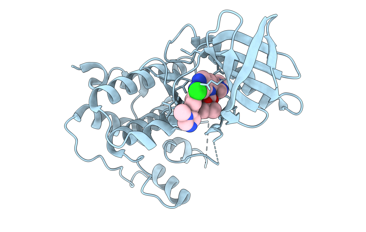 4C4J image