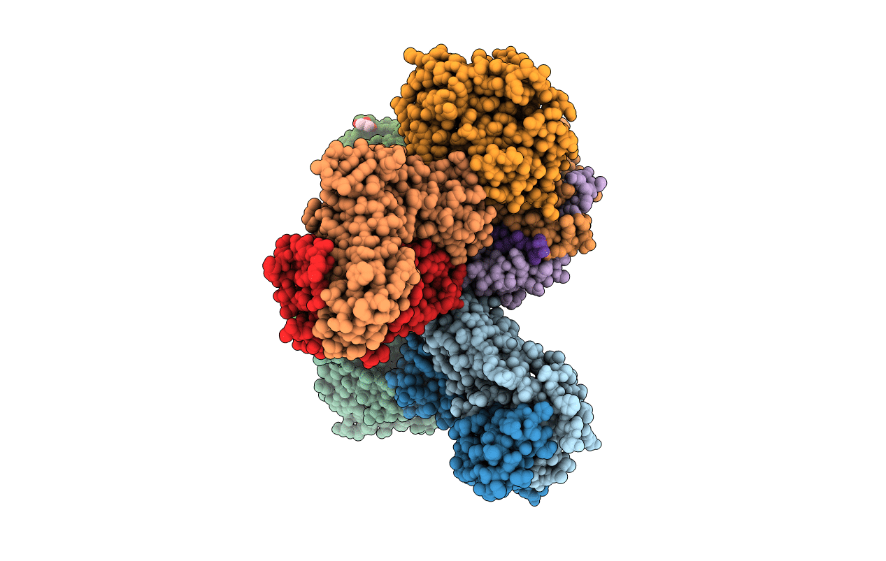 4C56 image