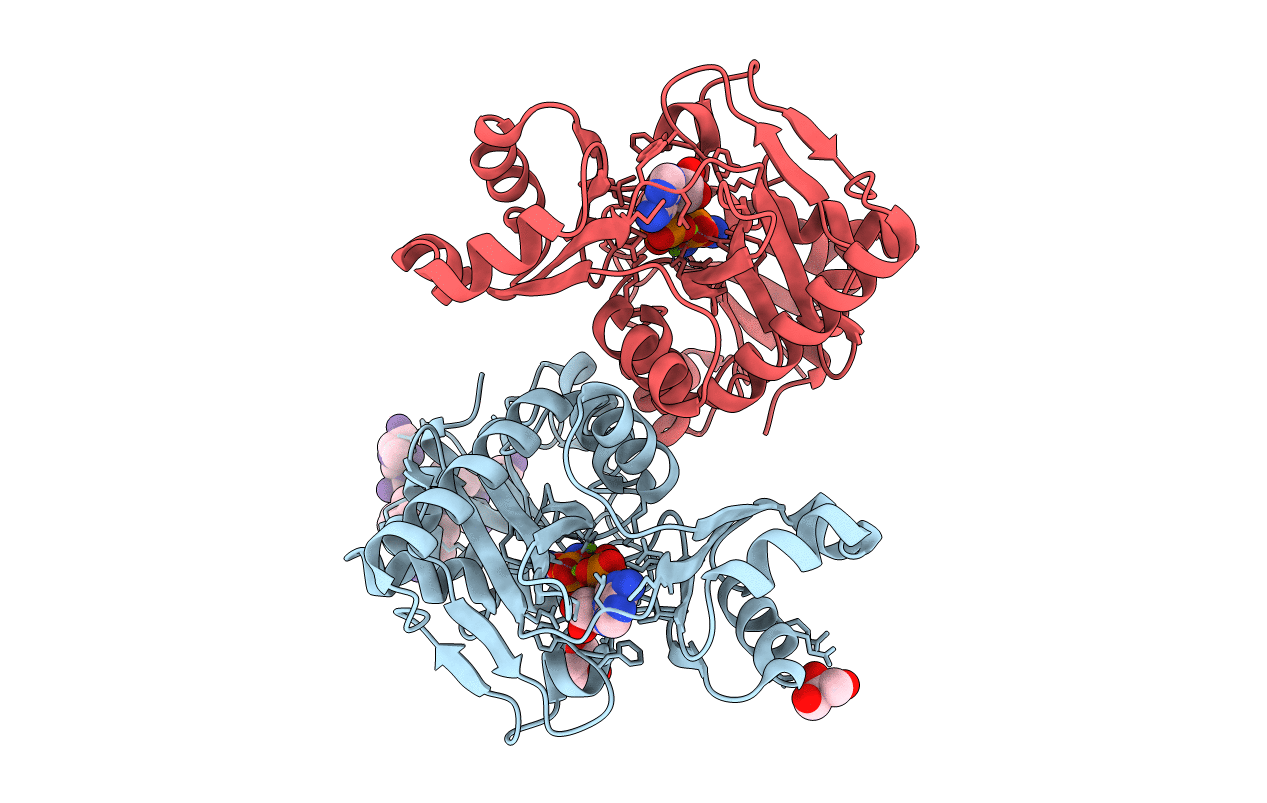 4C5A image
