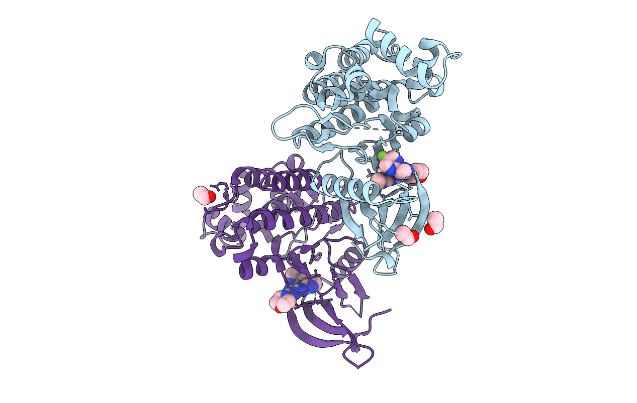 4C62 image