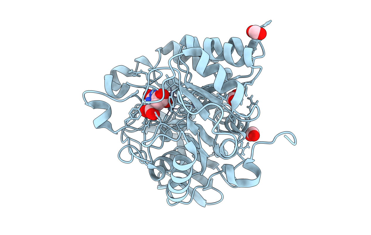 4C6I image