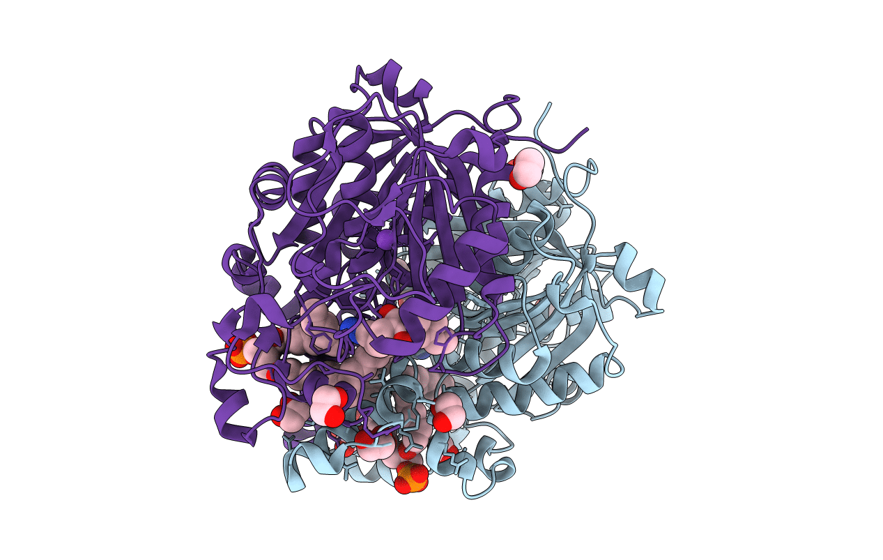 4C71 image