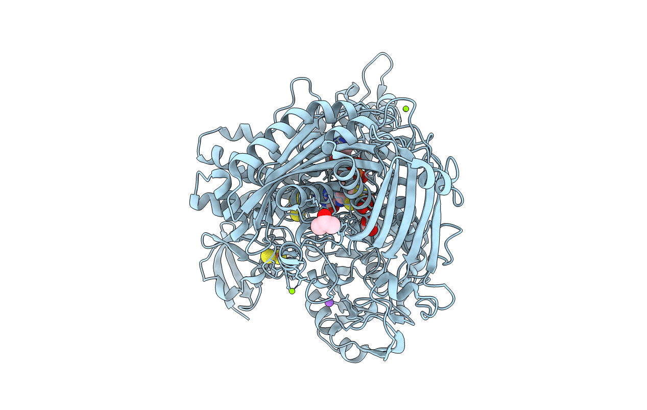 4C80 image