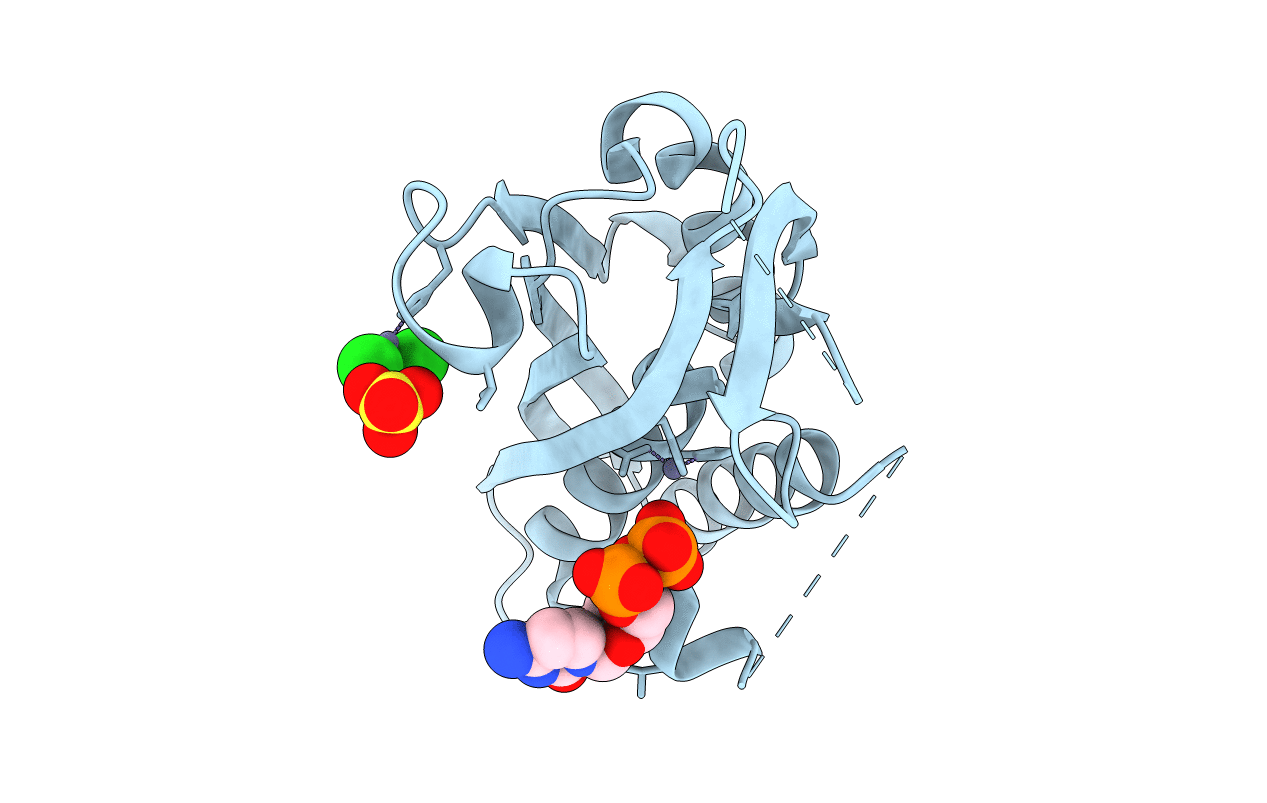 4C81 image