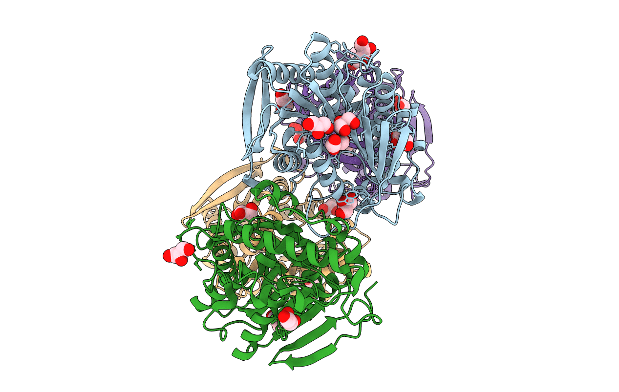 4C87 image
