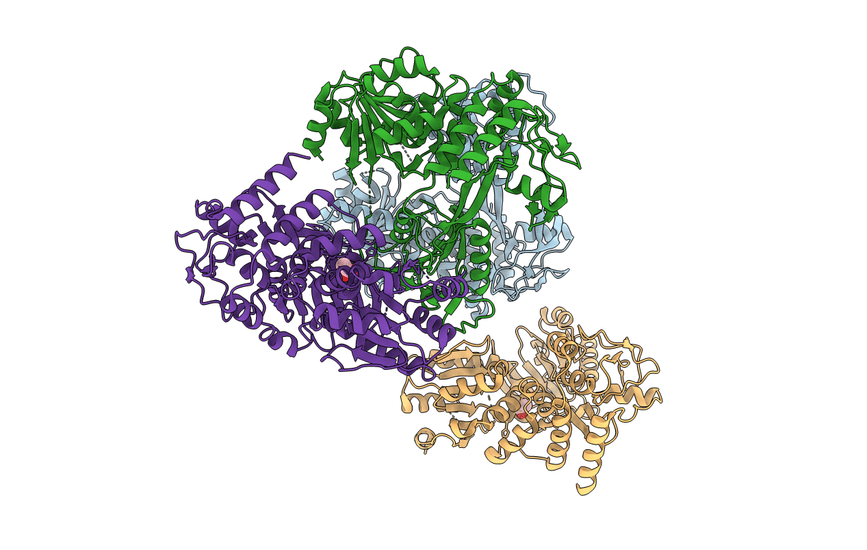 4CBG image