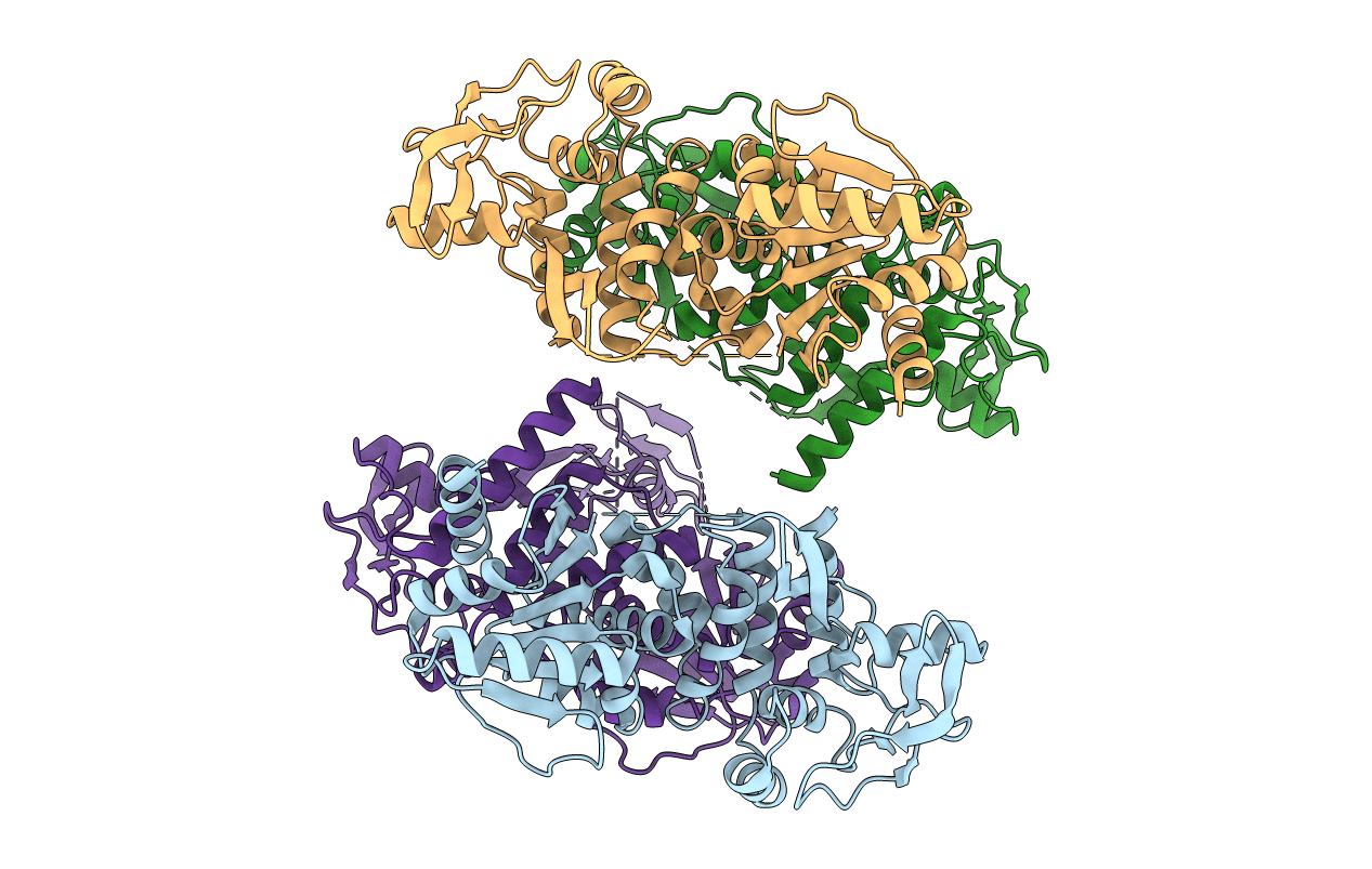 4CBH image