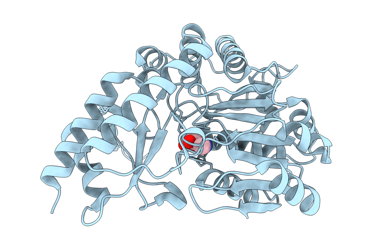 4CBS image