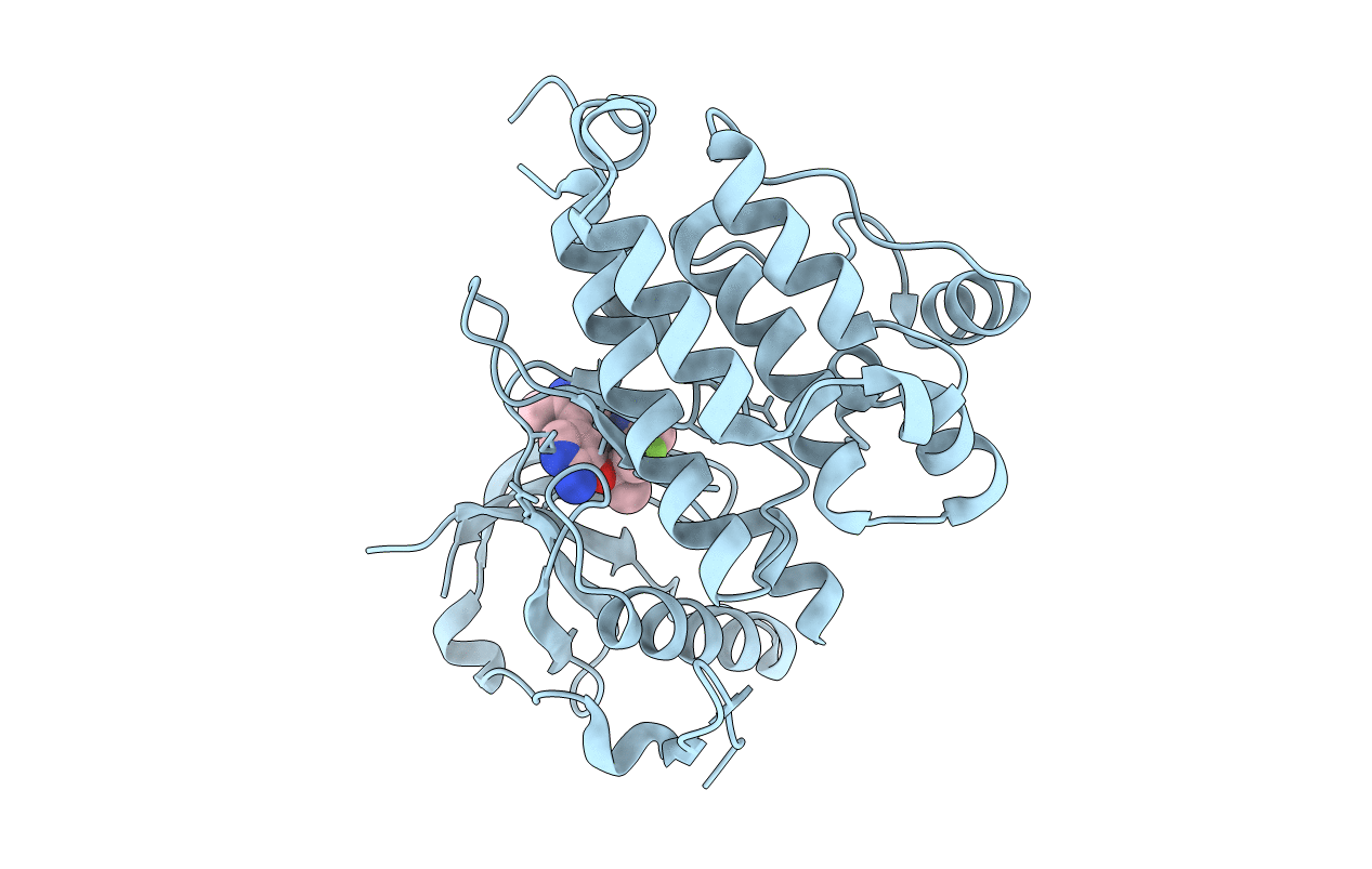 4CCB image