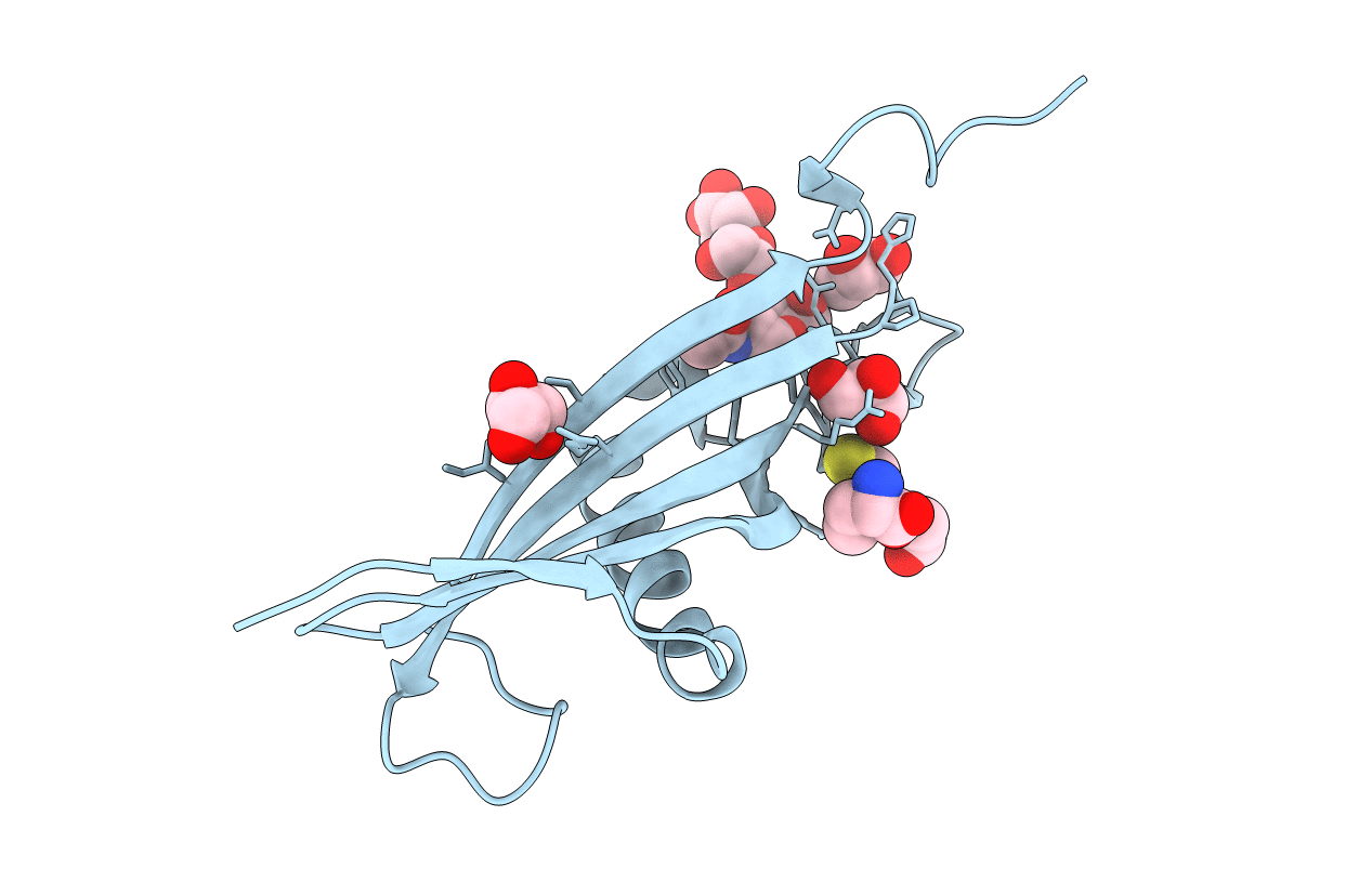 4CCV image