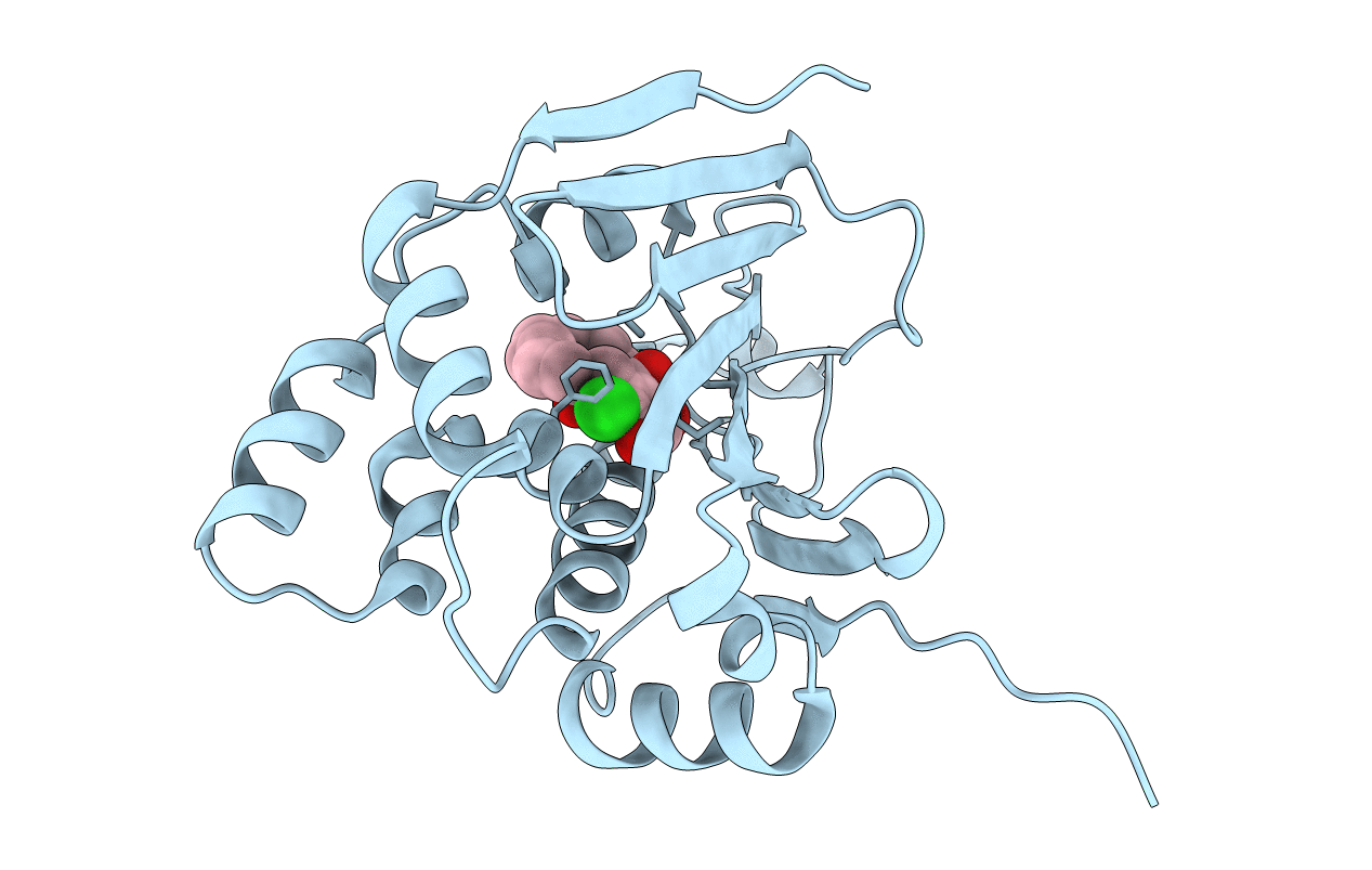 4CE2 image