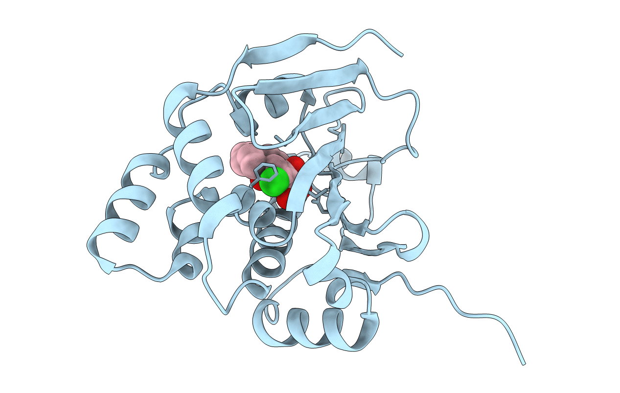 4CE3 image