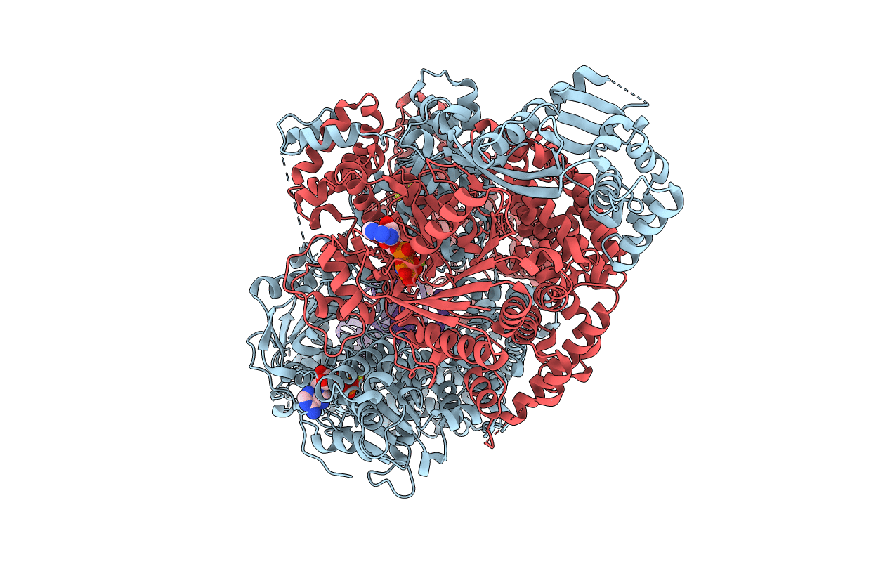 4CEI image