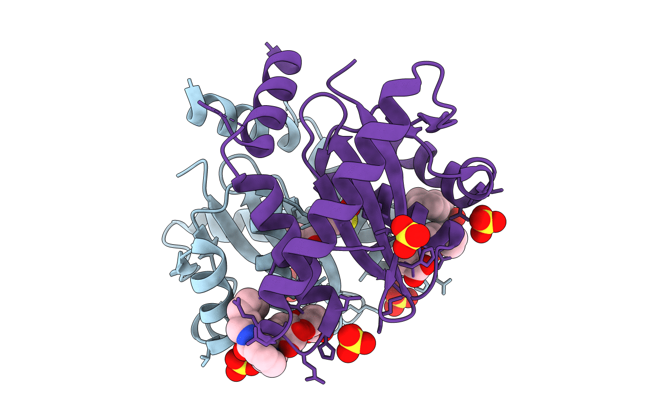 4CEQ image