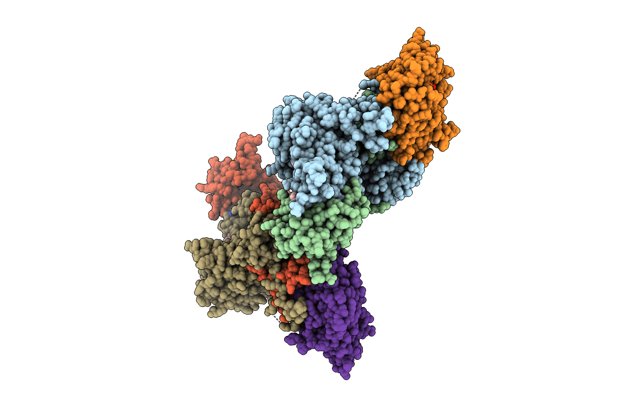 4CFF image