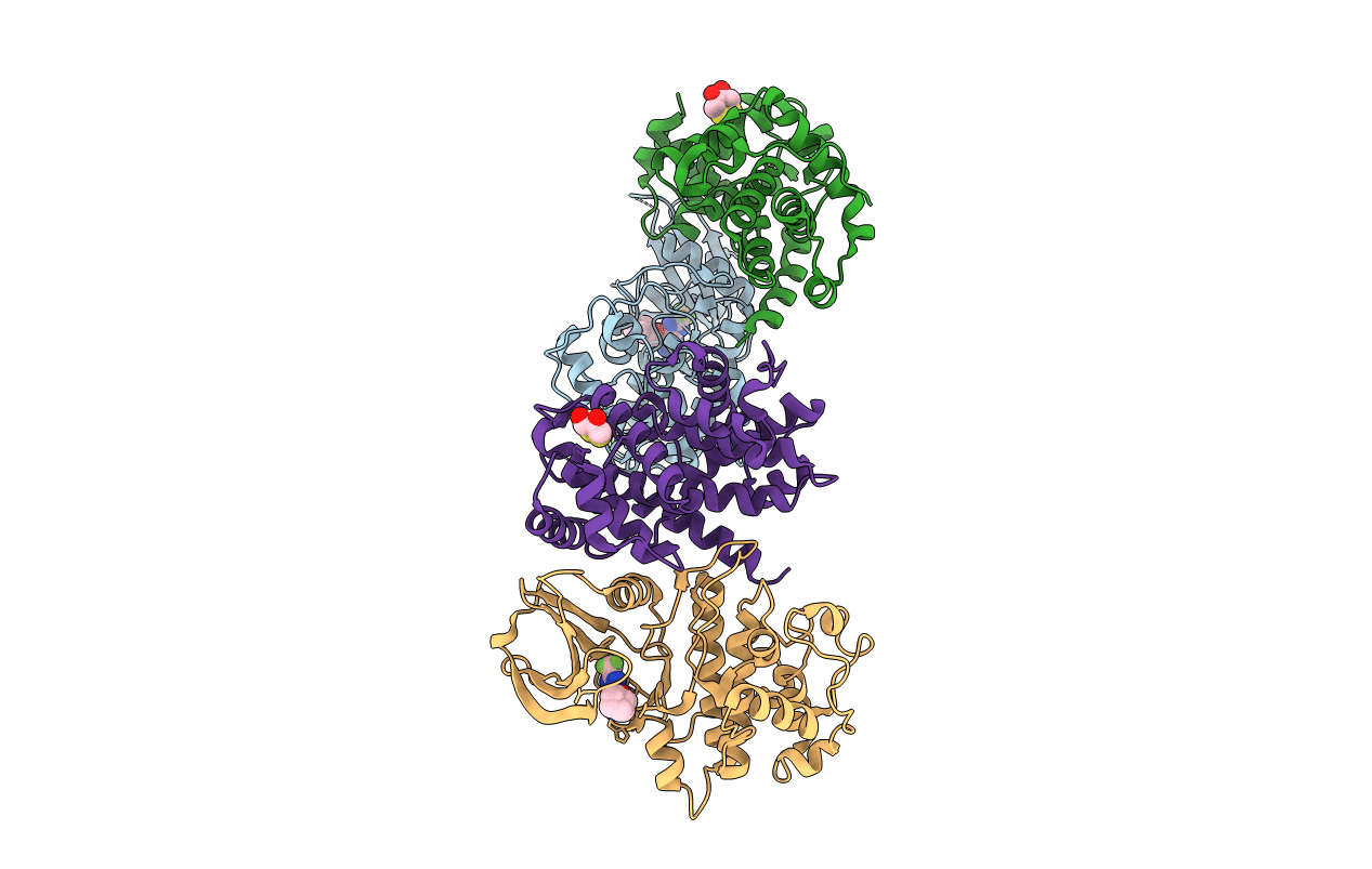 4CFN image