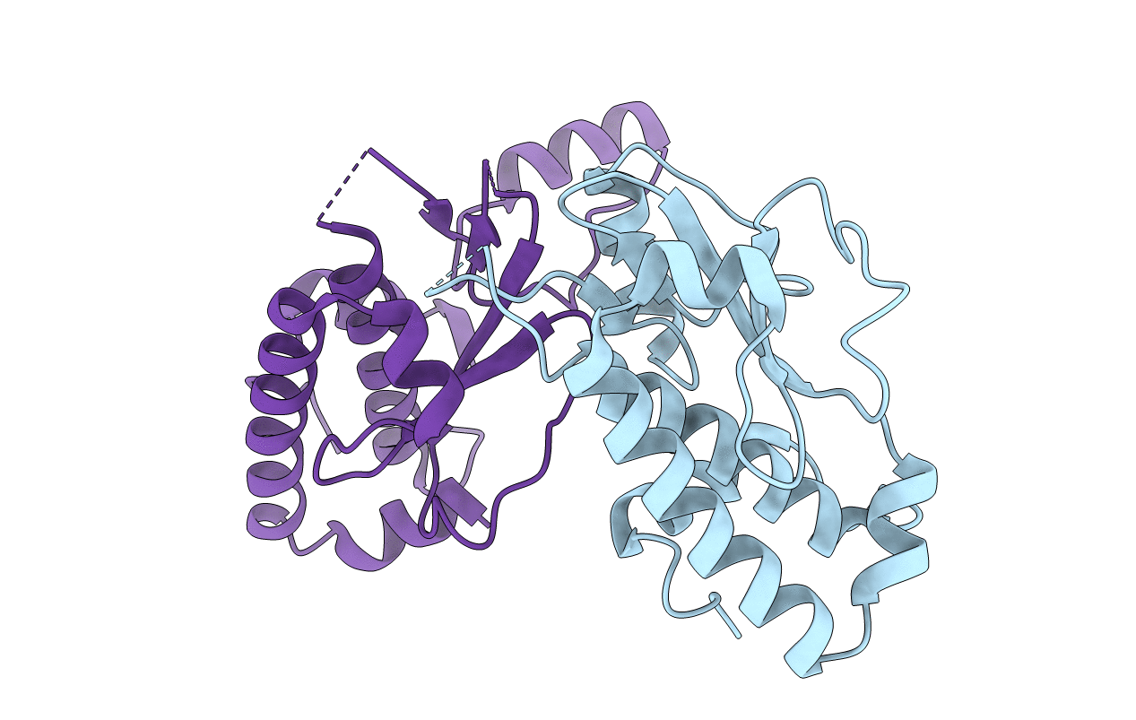 4CGX image