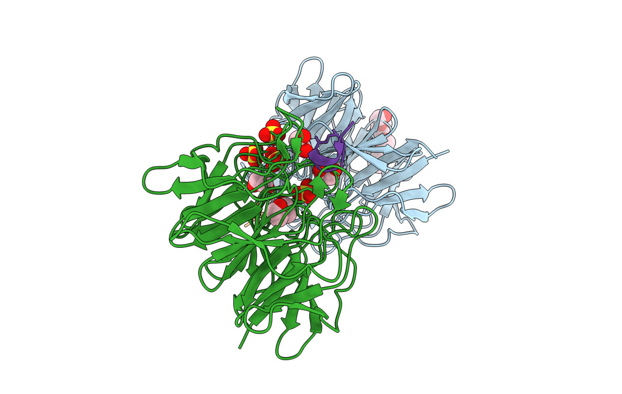 4CHB image
