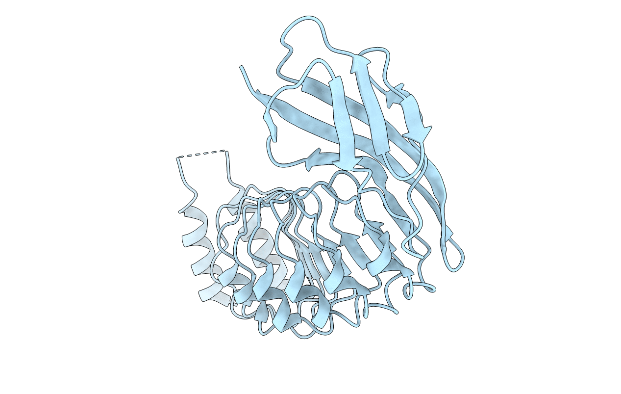 4CIL image
