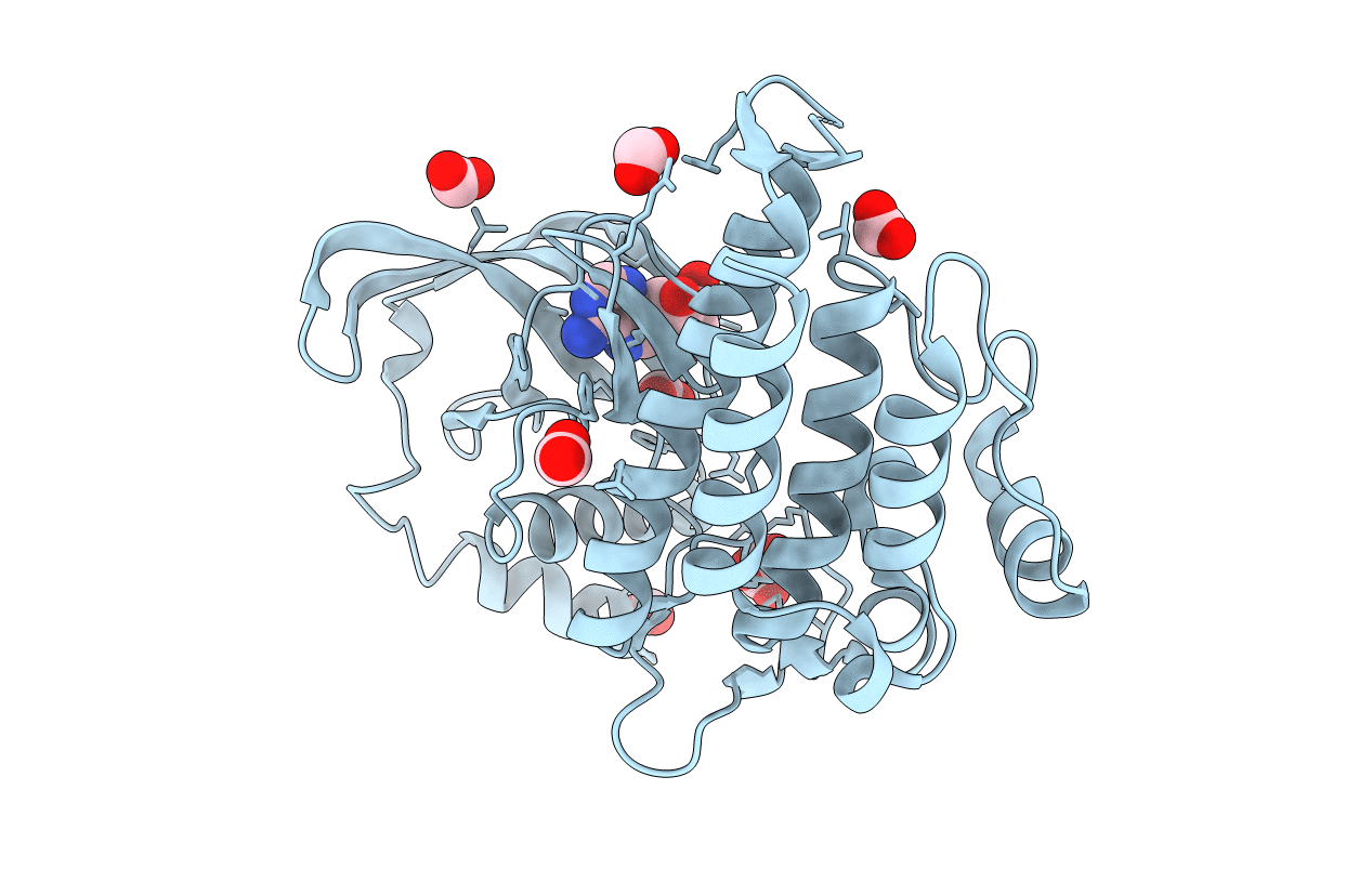 4CKI image