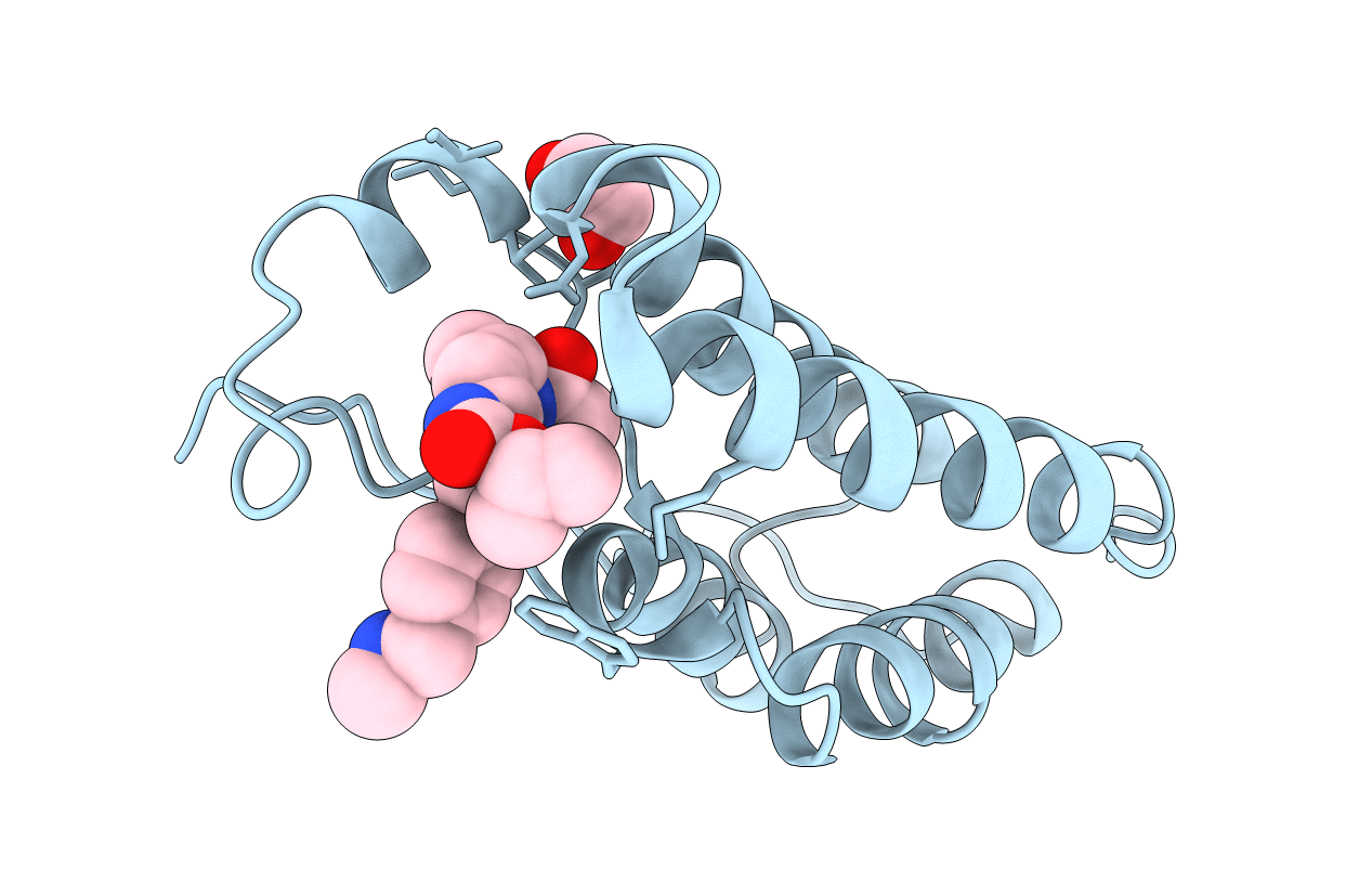 4CLB image