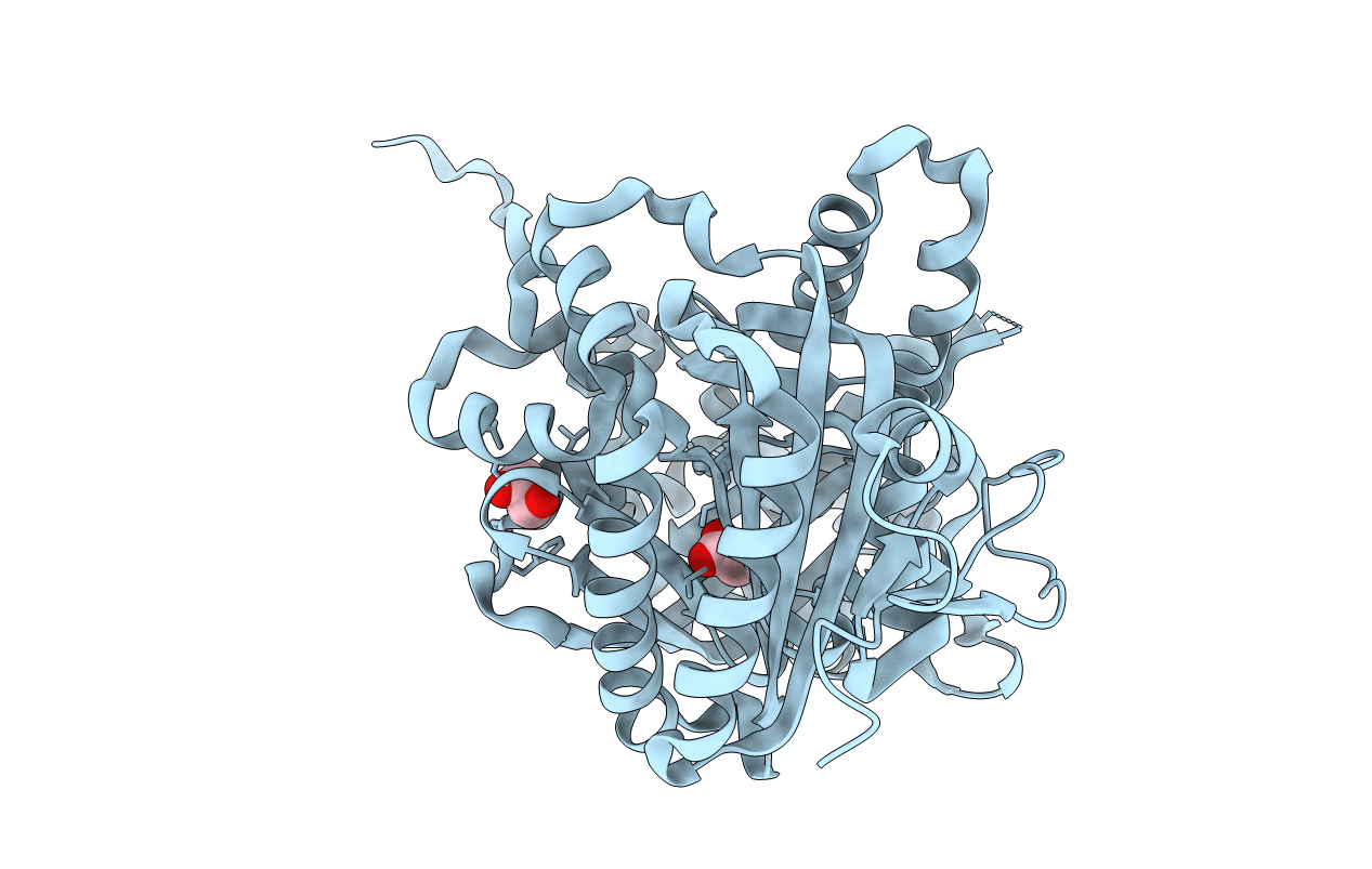 4CLF image