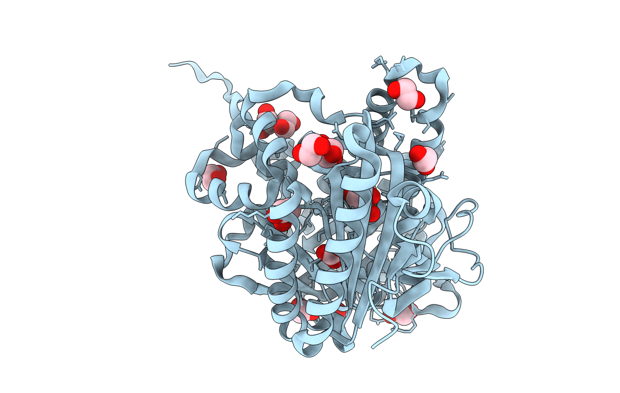 4CLL image