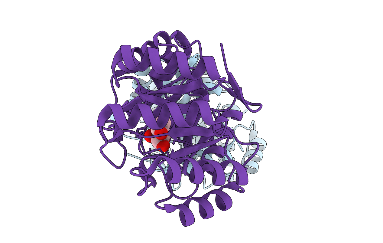 4CLM image