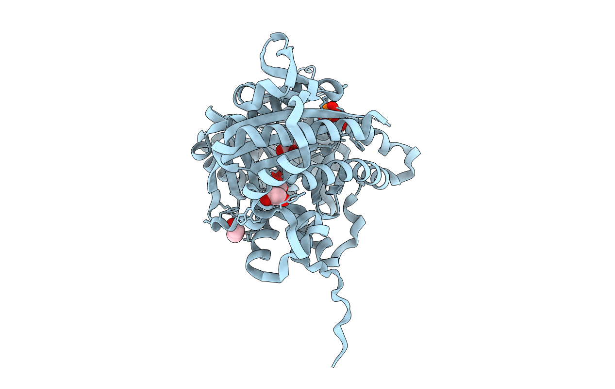 4CLS image