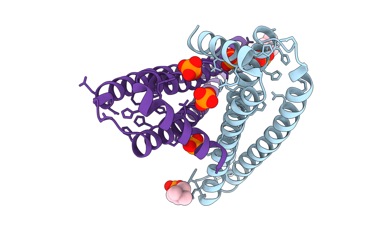 4CLV image