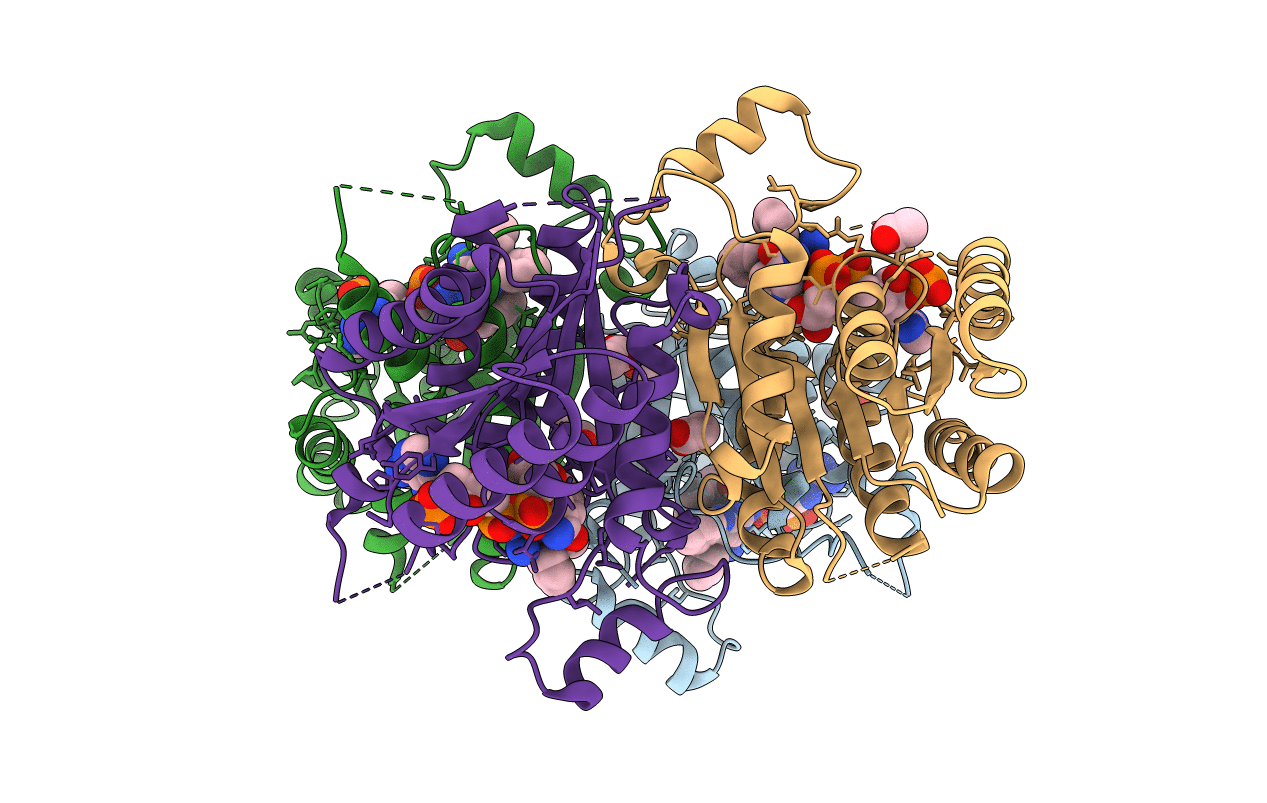 4CMA image