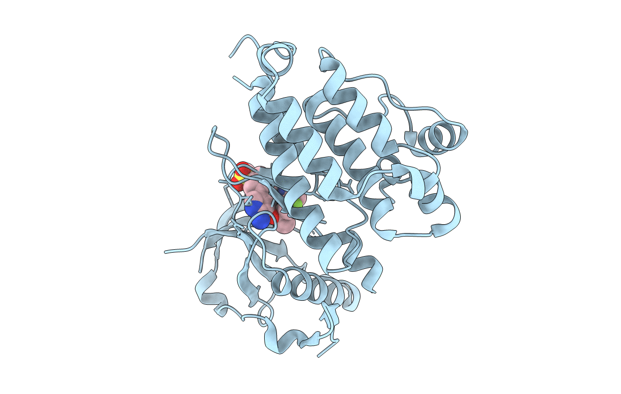 4CMT image