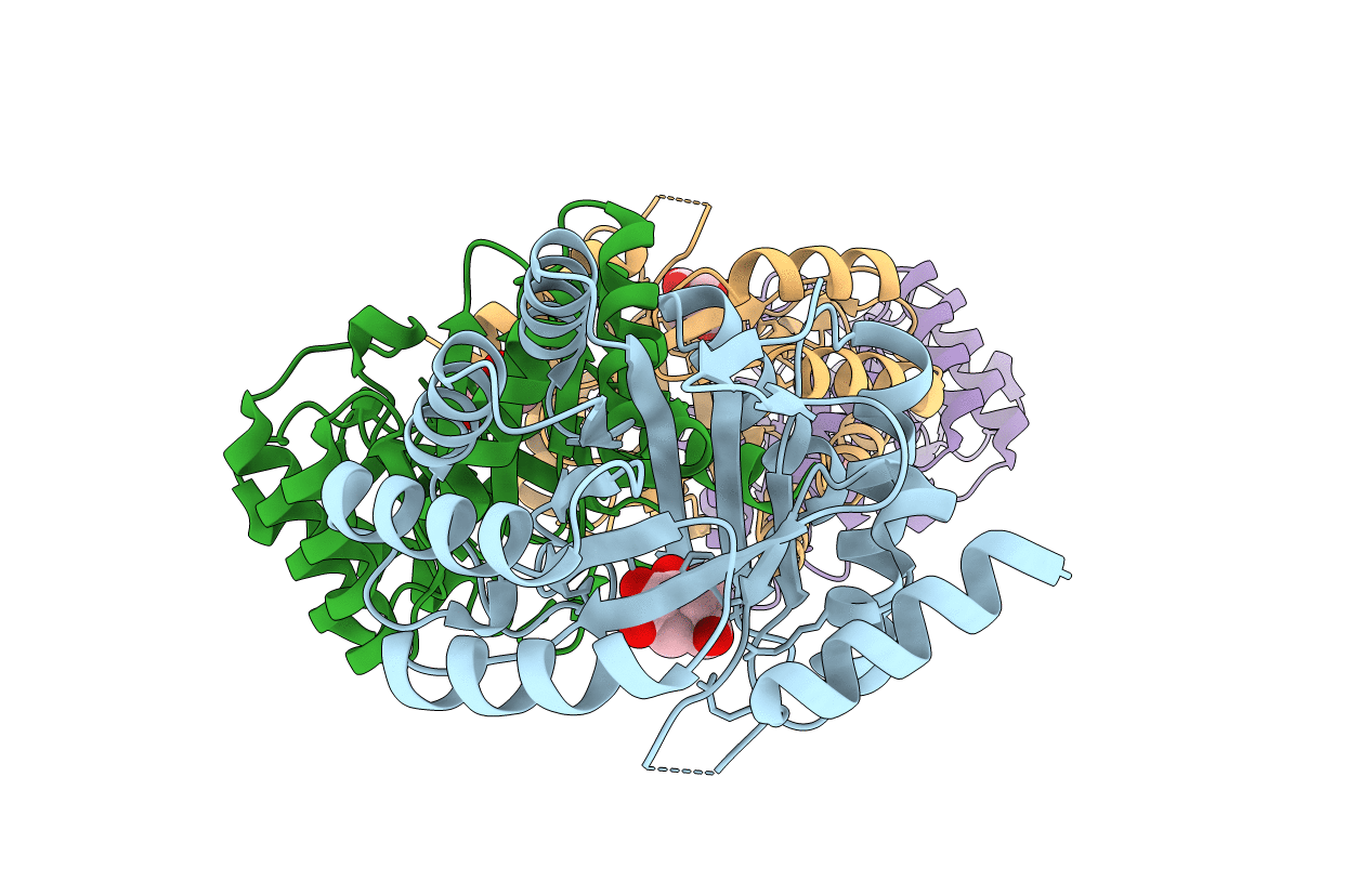 4CNO image
