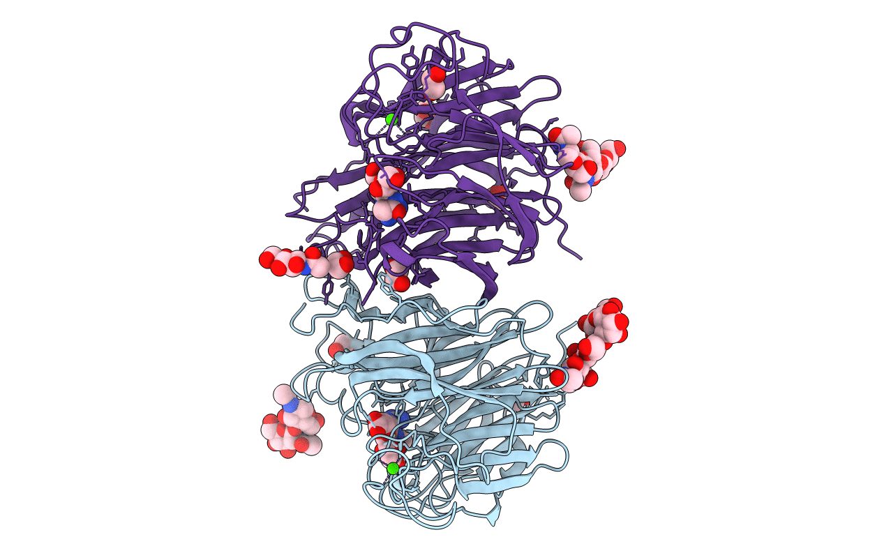 4CPN image