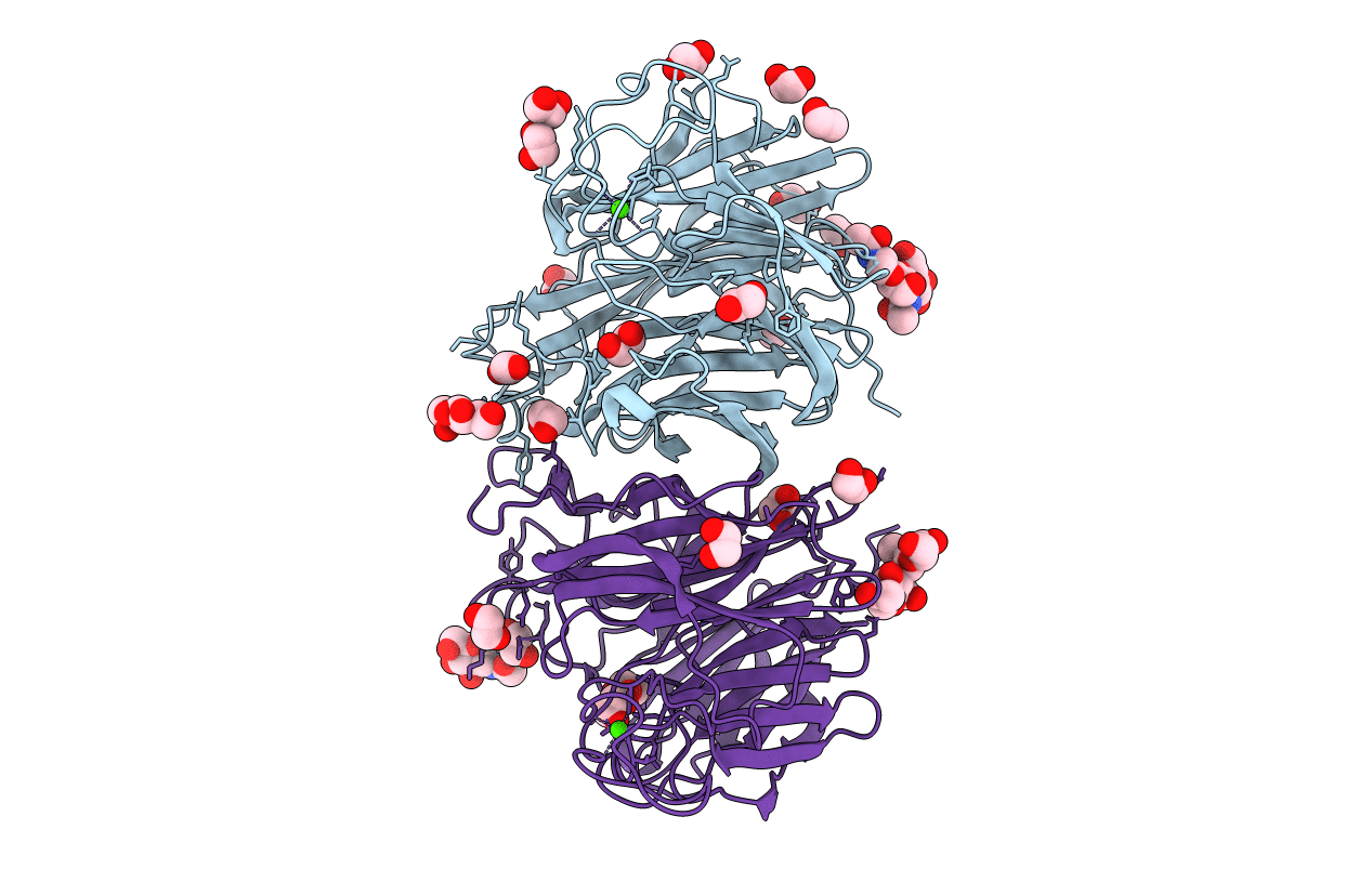 4CPO image
