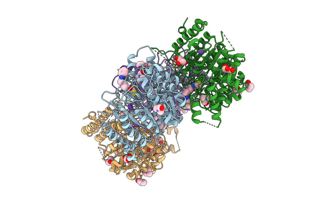 4CQF image