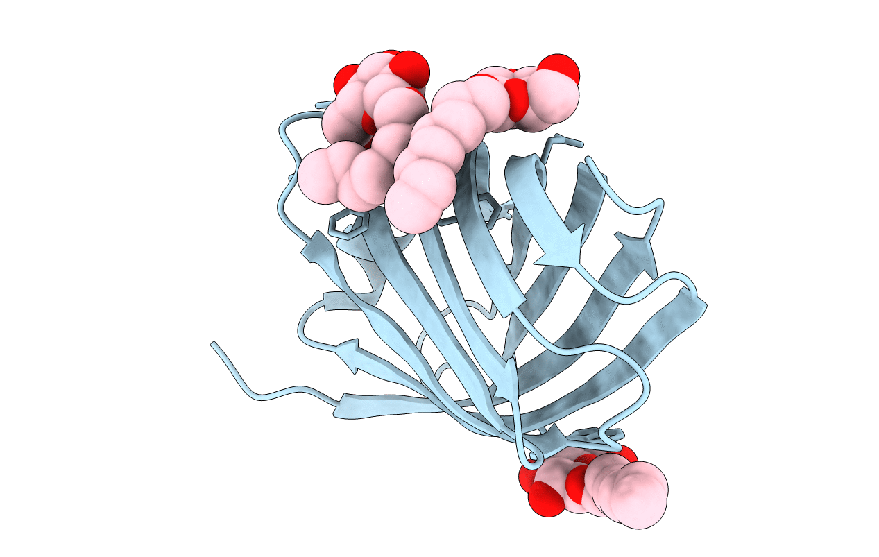 4CSB image