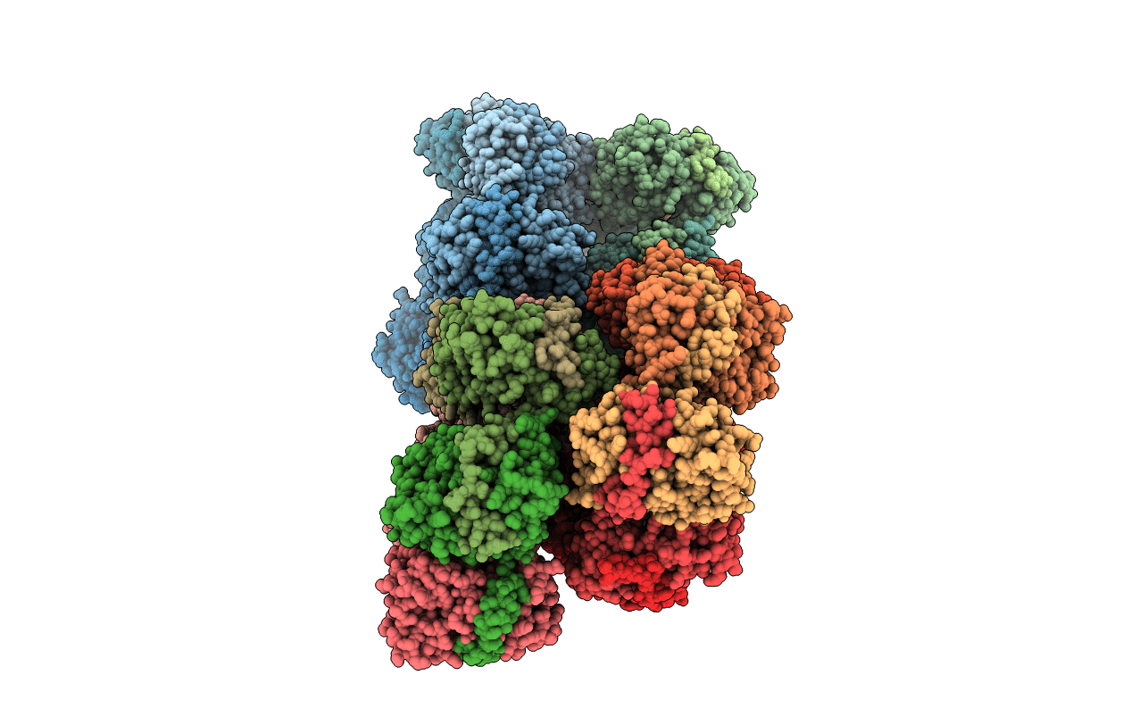 4CSF image