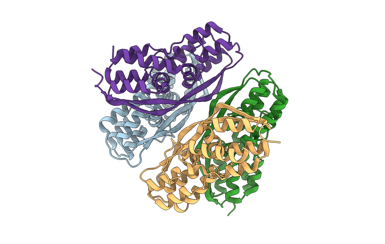 4CSO image