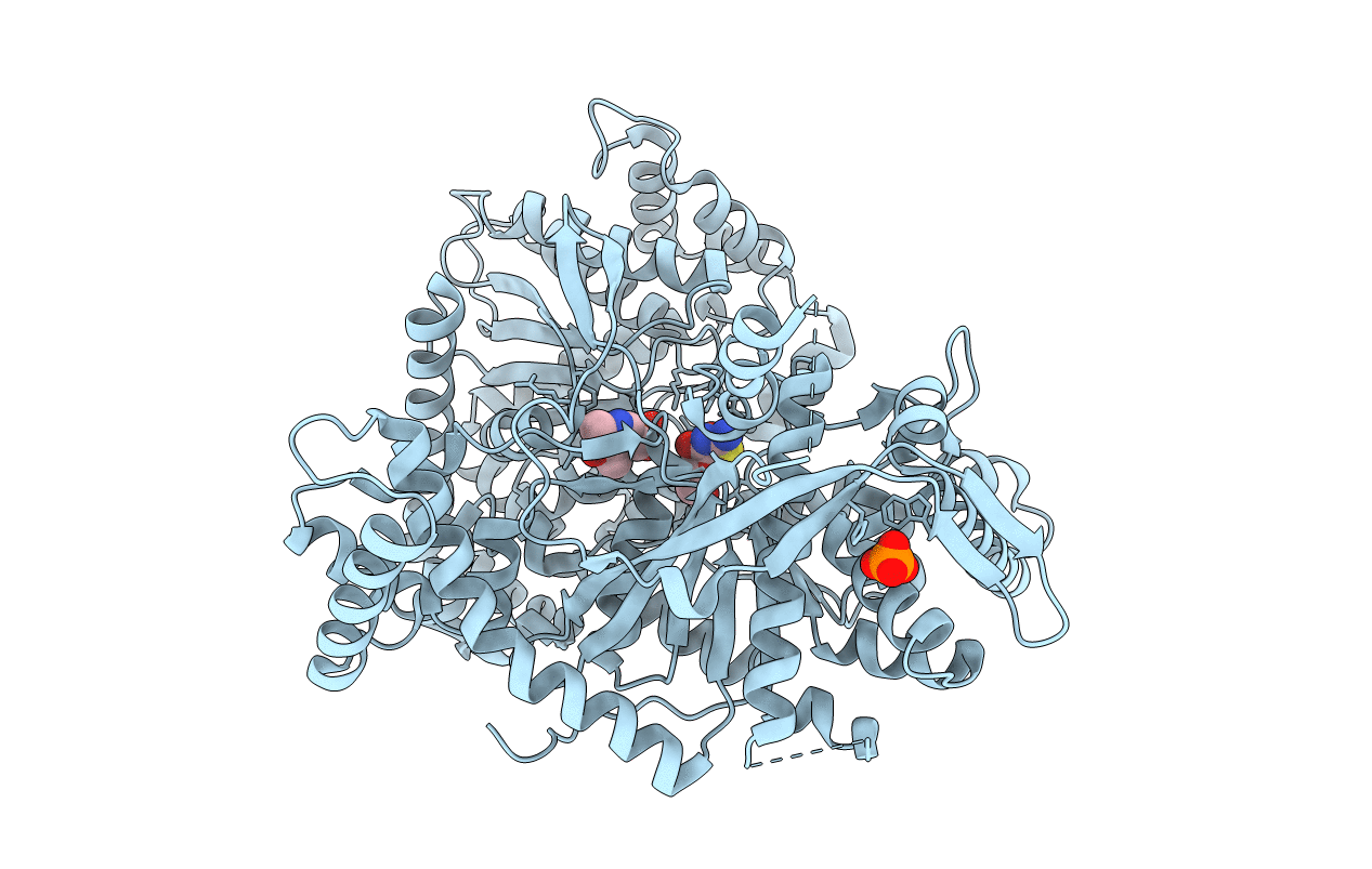 4CTM image