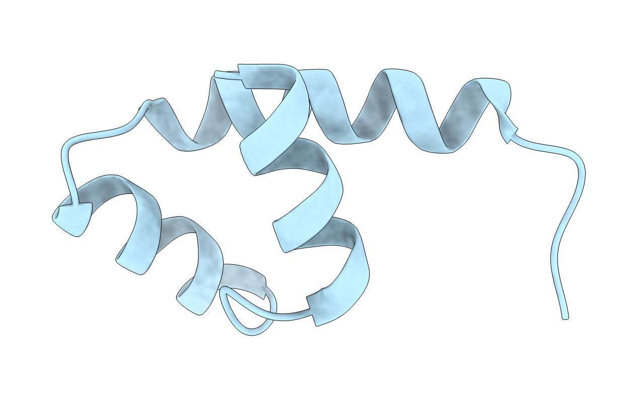 4CVD image