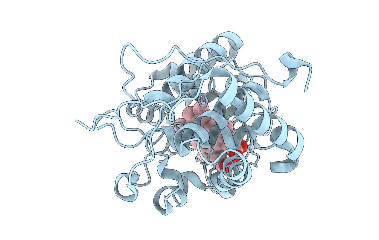 4CVI image
