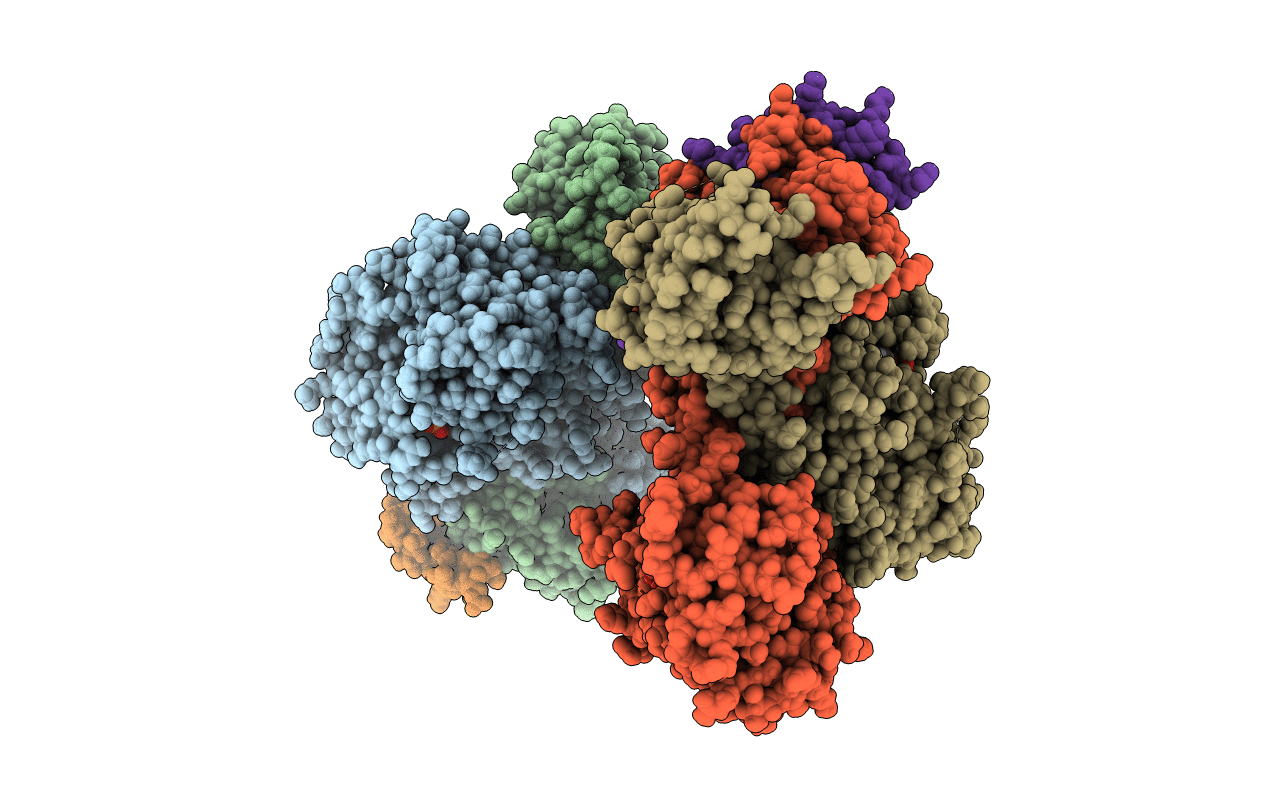 4CYJ image