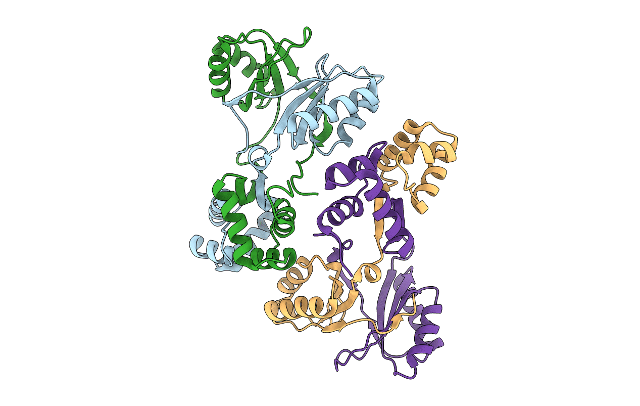 4CZD image