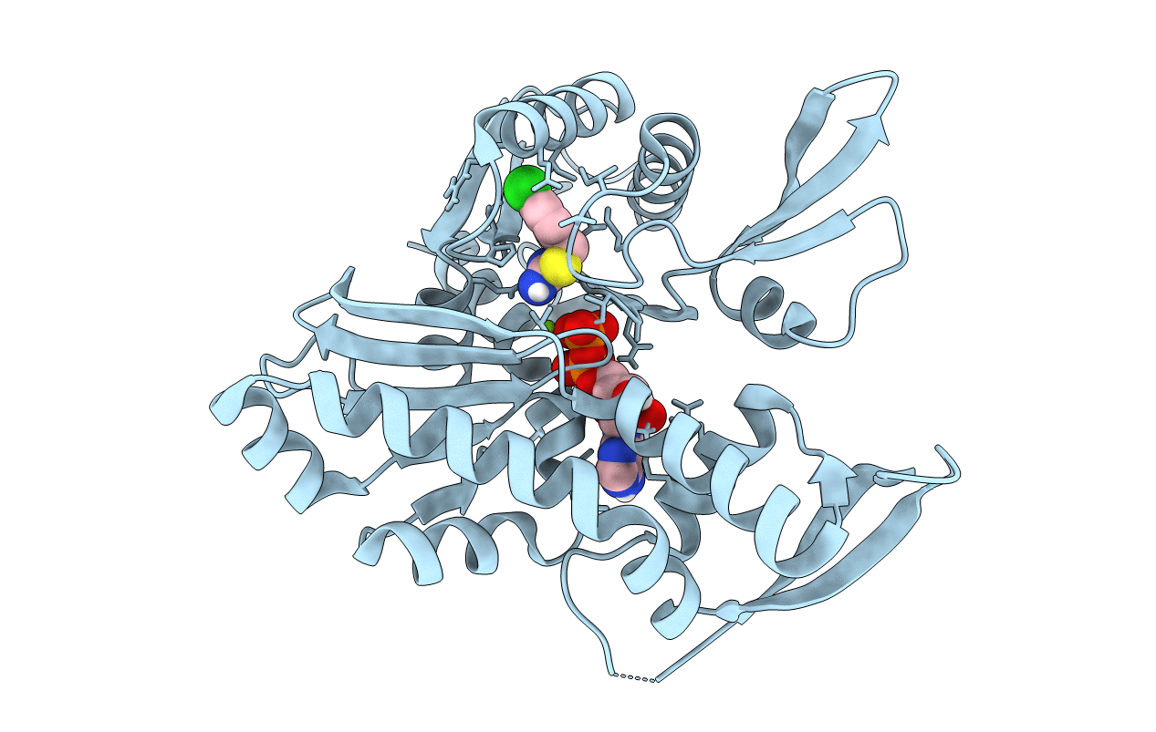 4CZH image