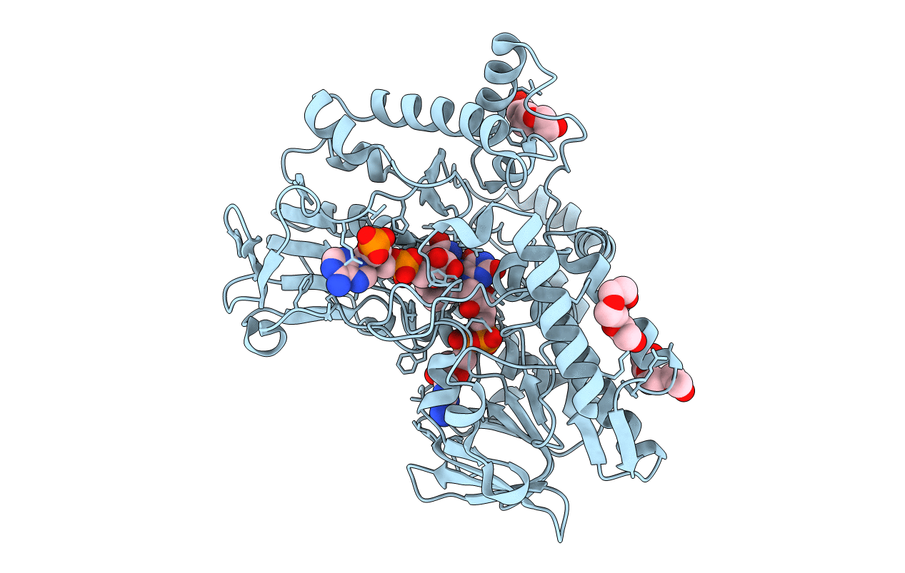 4D03 image