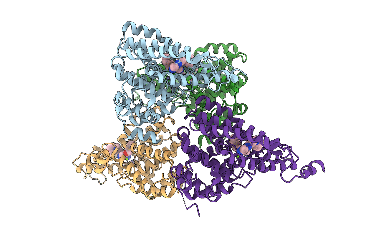4D08 image